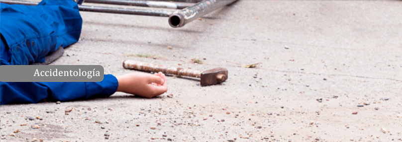 Profint SRL - Desde 1978 al servicio de la actividad empresarial