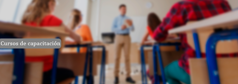 Profint SRL - Desde 1978 al servicio de la actividad empresarial